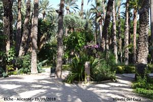 19 ELCHE HUERTO DEL CURA (37)